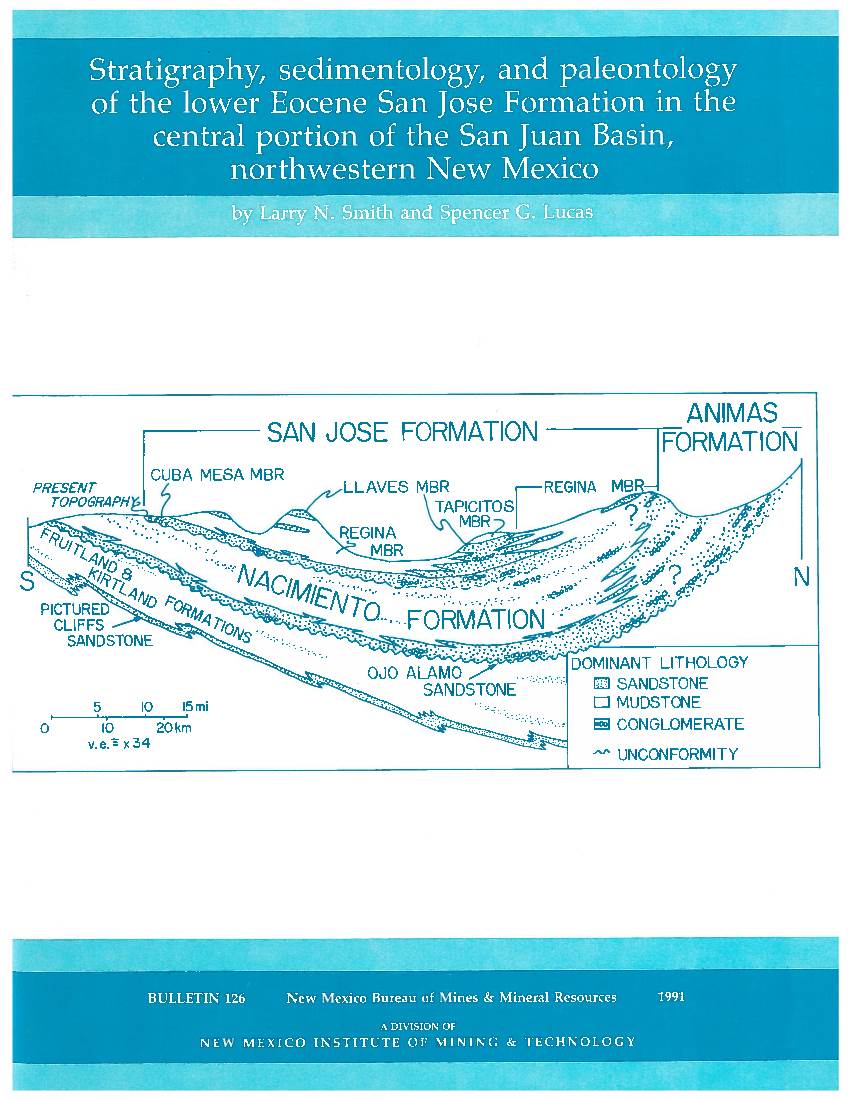 Stratigraphy, Sedimentology, and Paleontology of the Lower Eocene San Jose Formation in the Central Portion of the San Juan Basin, Northwestern New Mexico