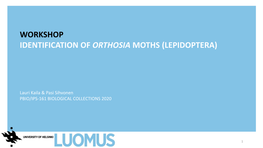 Workshop Identification of Orthosia Moths (Lepidoptera)