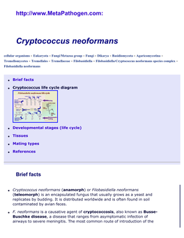 Cryptococcus Neoformans/Filobasidiella