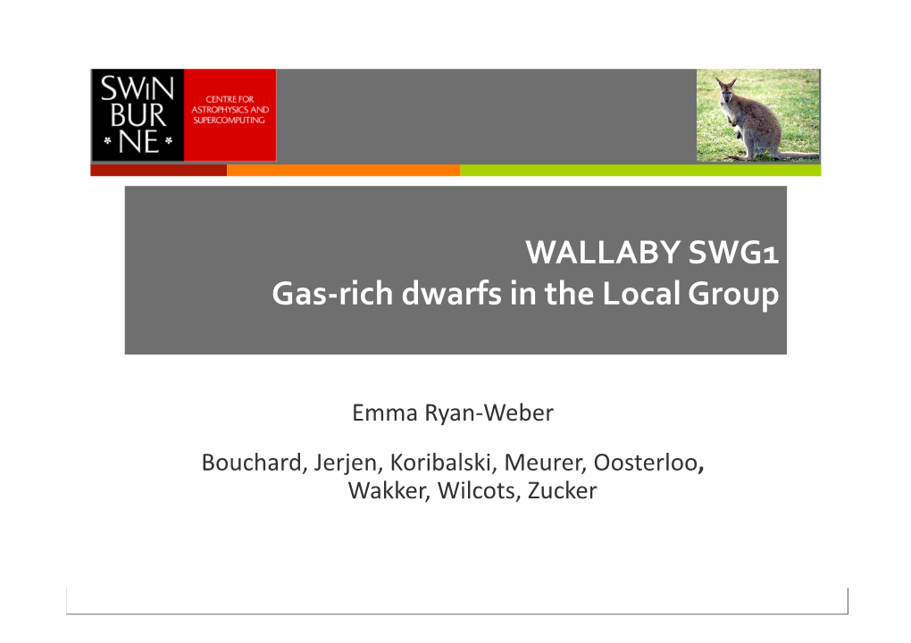 WALLABY SWG1 Gas‐Rich Dwarfs in the Local Group