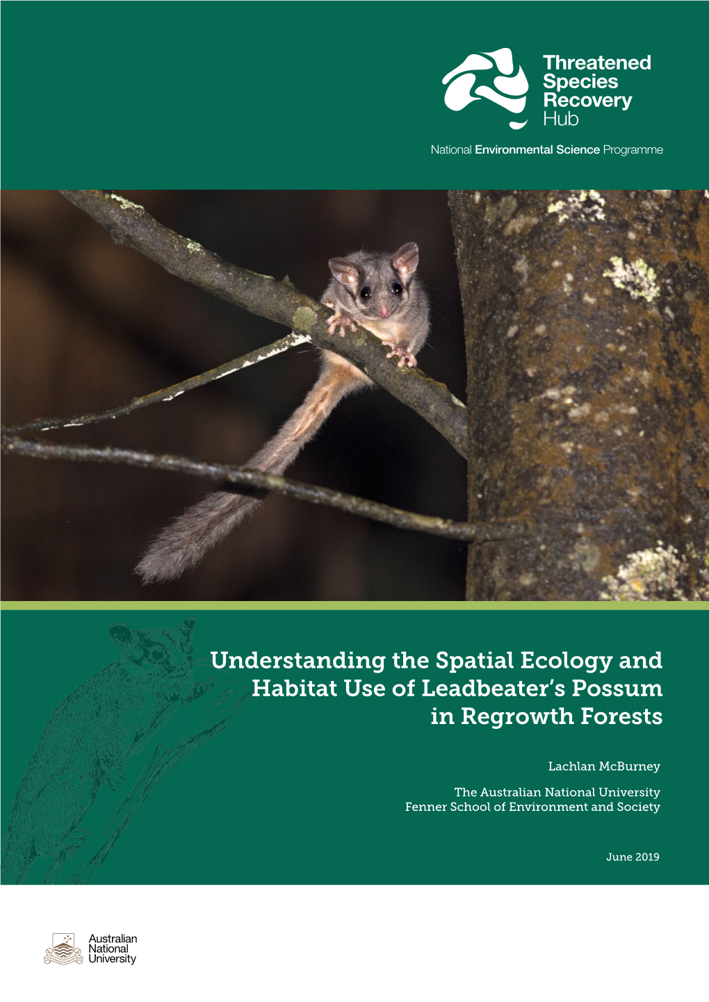 Understanding the Spatial Ecology and Habitat Use of Leadbeater's