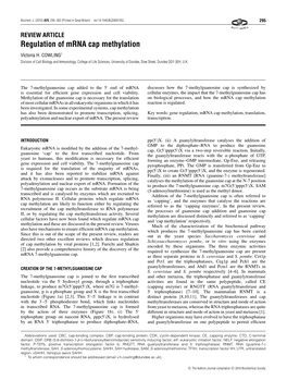 Regulation of Mrna Cap Methylation Victoria H