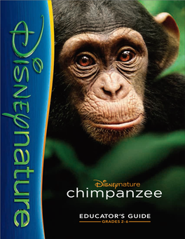 CHIMPANZEE, a New True Life Adventure Introducing a Lovable Young Chimpanzee Named Oscar in a Story of Family Bonds Dand Individual Triumph