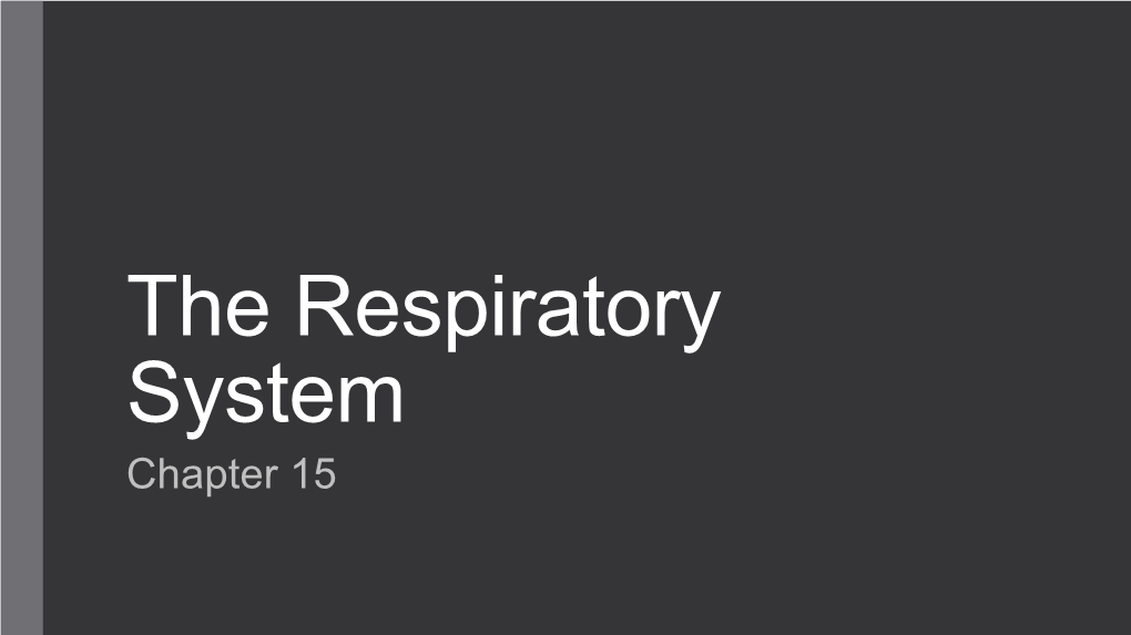 The Respiratory System Chapter 15 the Respiratory System