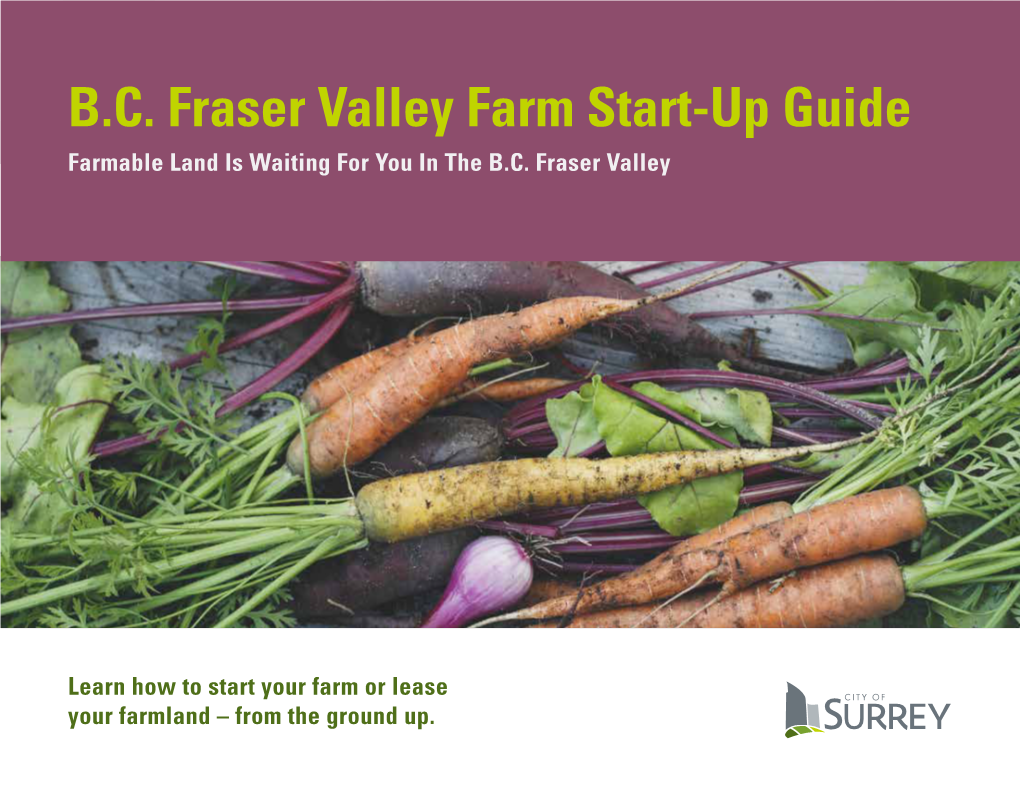 B.C. Fraser Valley Farm Start-Up Guide Farmable Land Is Waiting for You in the B.C