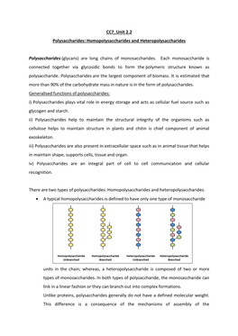 Homopolysaccharides and Heteropolysaccharides Polysaccharides