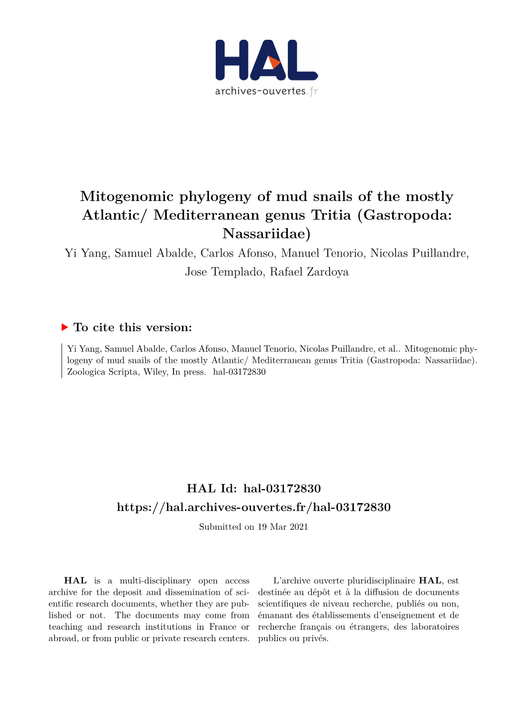 Mitogenomic Phylogeny of Mud Snails of the Mostly Atlantic