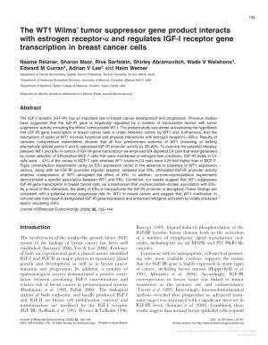 The WT1 Wilms' Tumor Suppressor Gene Product Interacts with Estrogen Receptor-Α and Regulates IGF-I Receptor Gene Transcripti