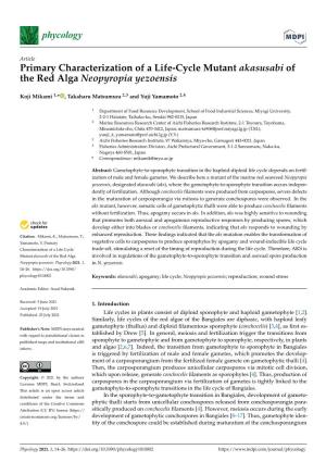 Primary Characterization of a Life-Cycle Mutant Akasusabi of the Red Alga Neopyropia Yezoensis