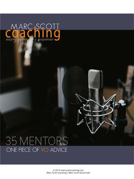 35 Mentors ONE PIECE of VO ADVICE