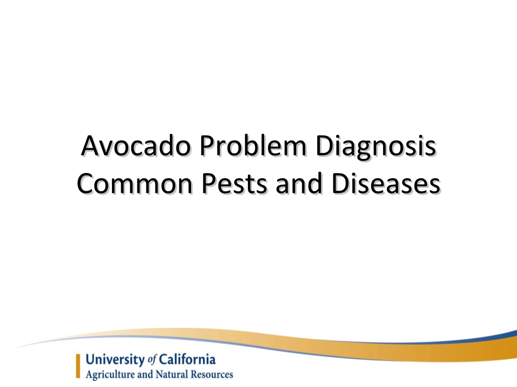 Citrus and Avocado Pests and Dieseases