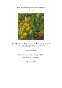Hybridisation in Three Sympatric Persoonia Species: P. Chamaepitys, P