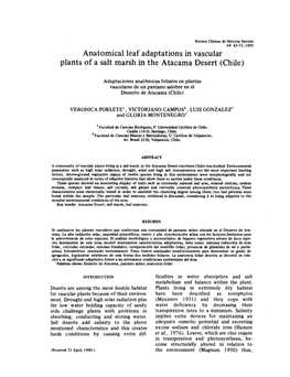 Anatomical Leaf Adaptations in Vascular Plants of a Salt Marsh in the Atacama Desert (Chile)