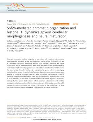 Snf2h-Mediated Chromatin Organization and Histone H1 Dynamics Govern Cerebellar Morphogenesis and Neural Maturation
