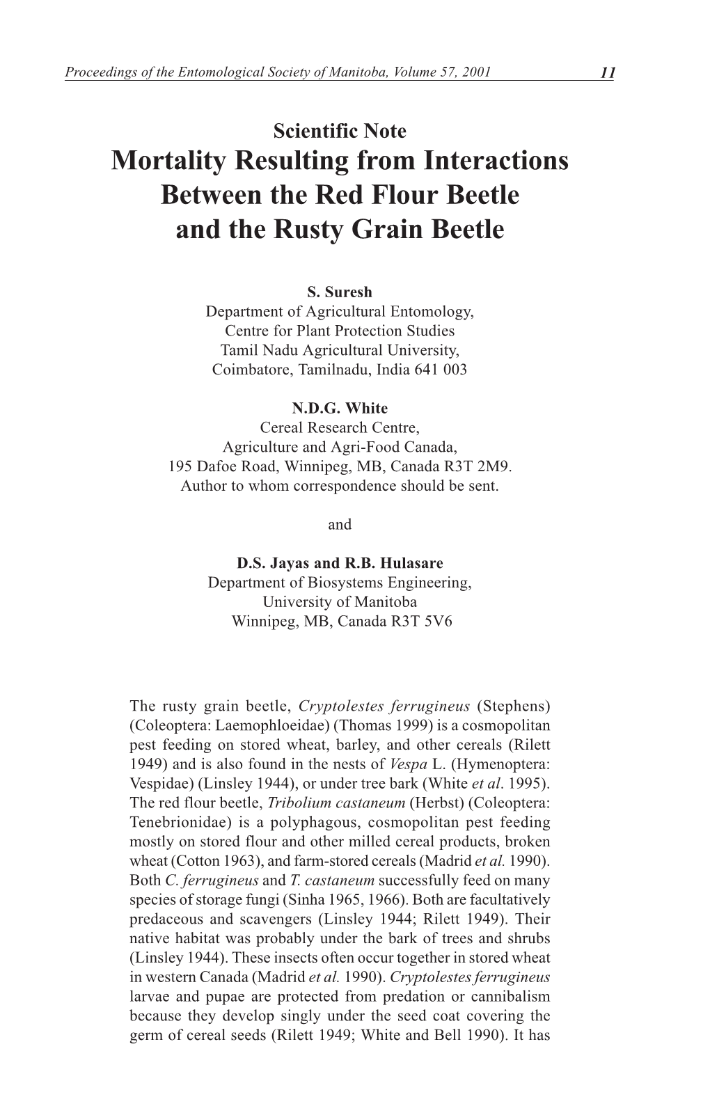 Mortality Resulting from Interactions Between the Red Flour Beetle and the Rusty Grain Beetle
