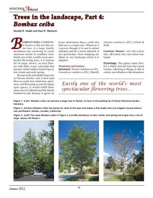 Trees in the Landscape, Part 4: Bombax Ceiba Donald R
