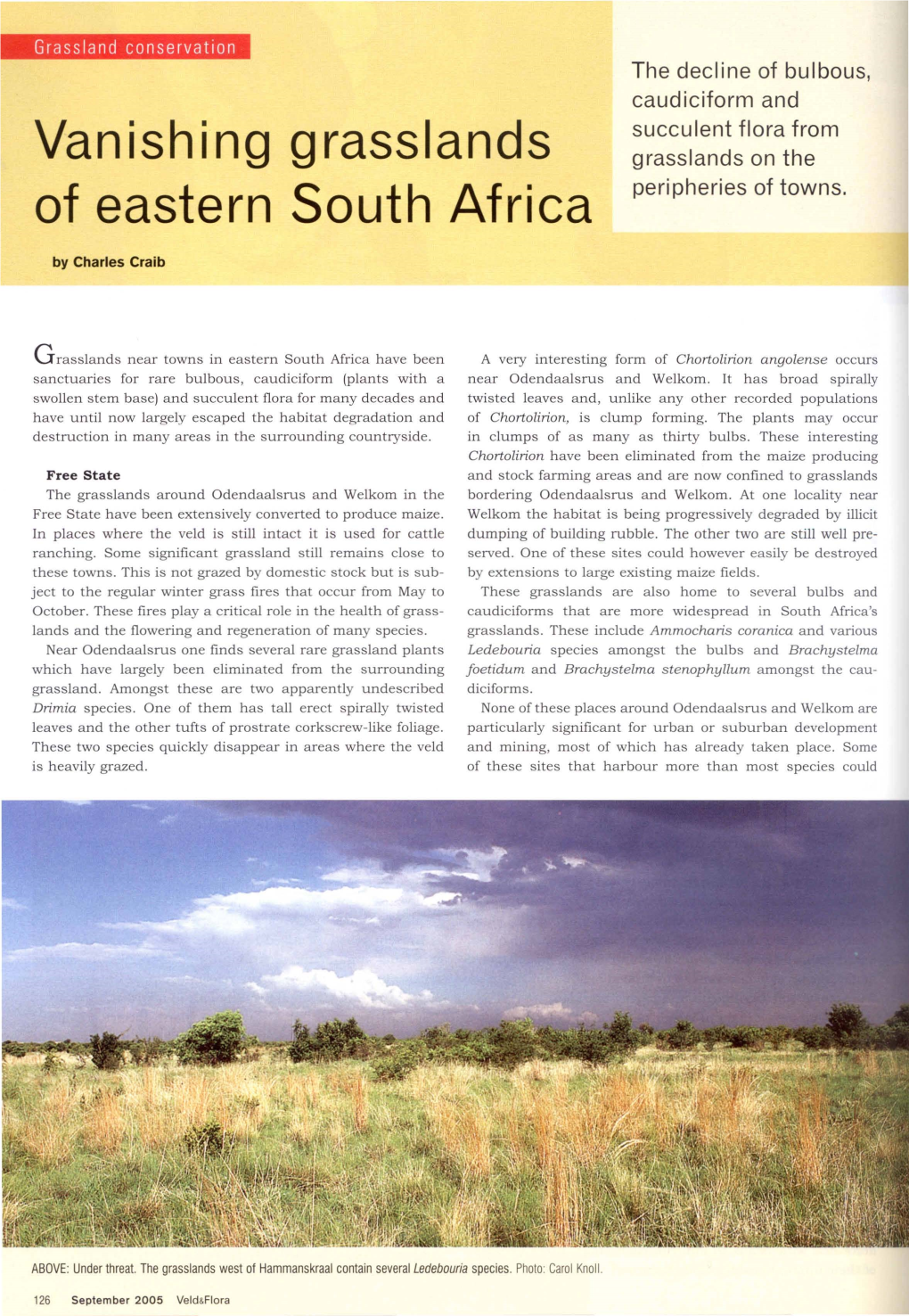 Vanishing Grasslands of Eastern South Africa