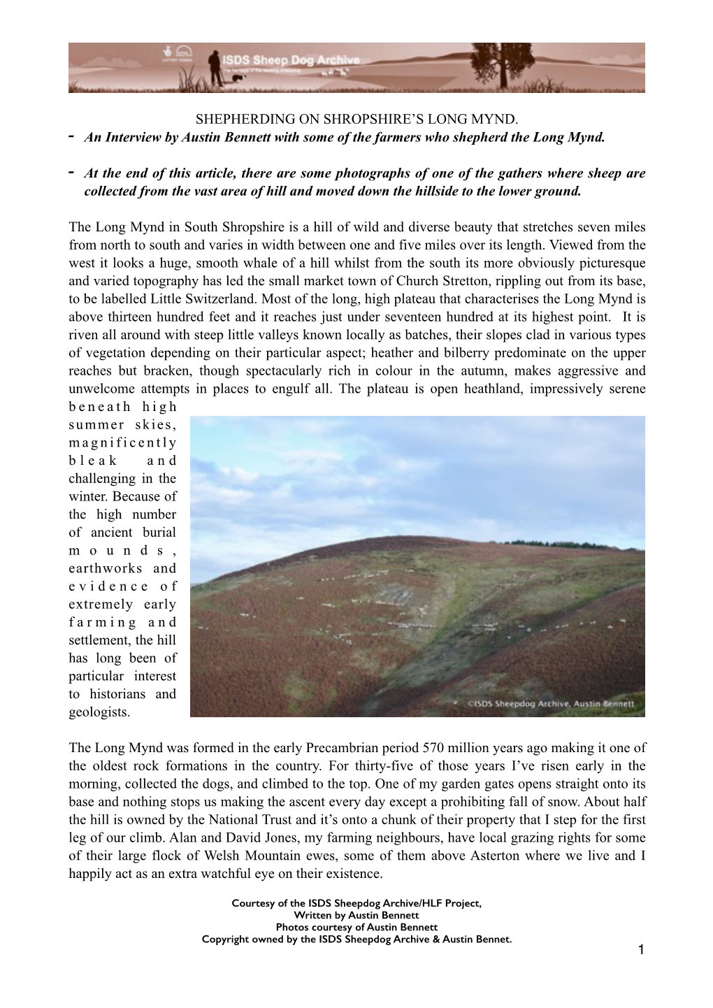 Shepherding on the Long Mynd in Shropshire.Pages