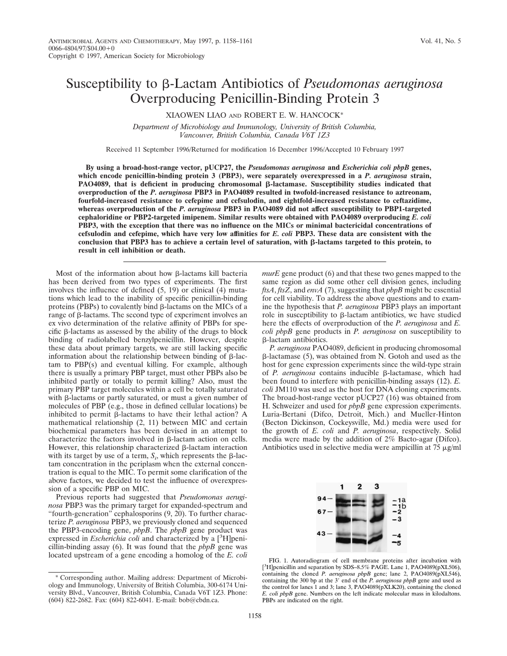 Lactam Antibiotics of Pseudomonas Aeruginosa Overproducing Penicillin-Binding Protein 3