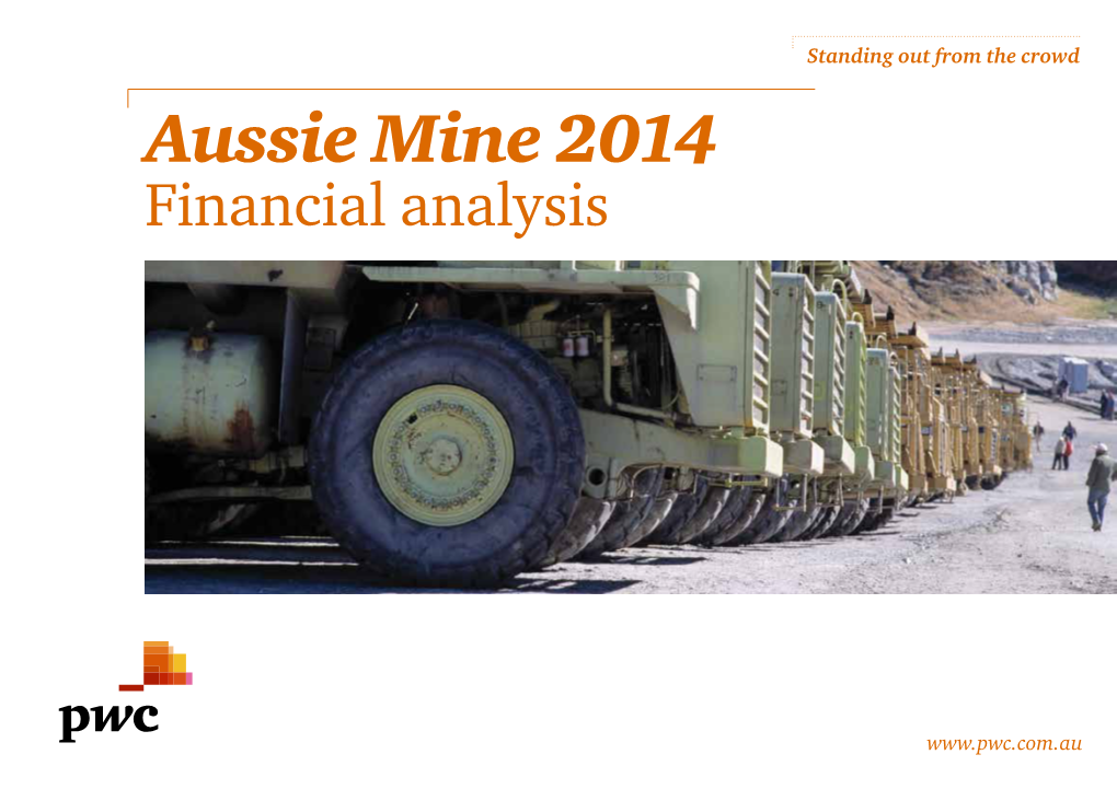 Aussie Mine 2014 Financial Analysis