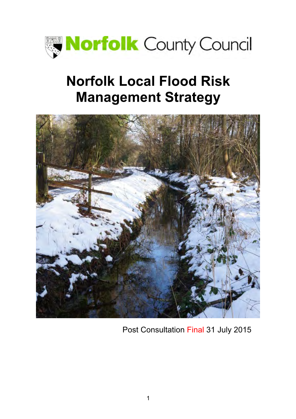 Local Flood Risk Management Strategy