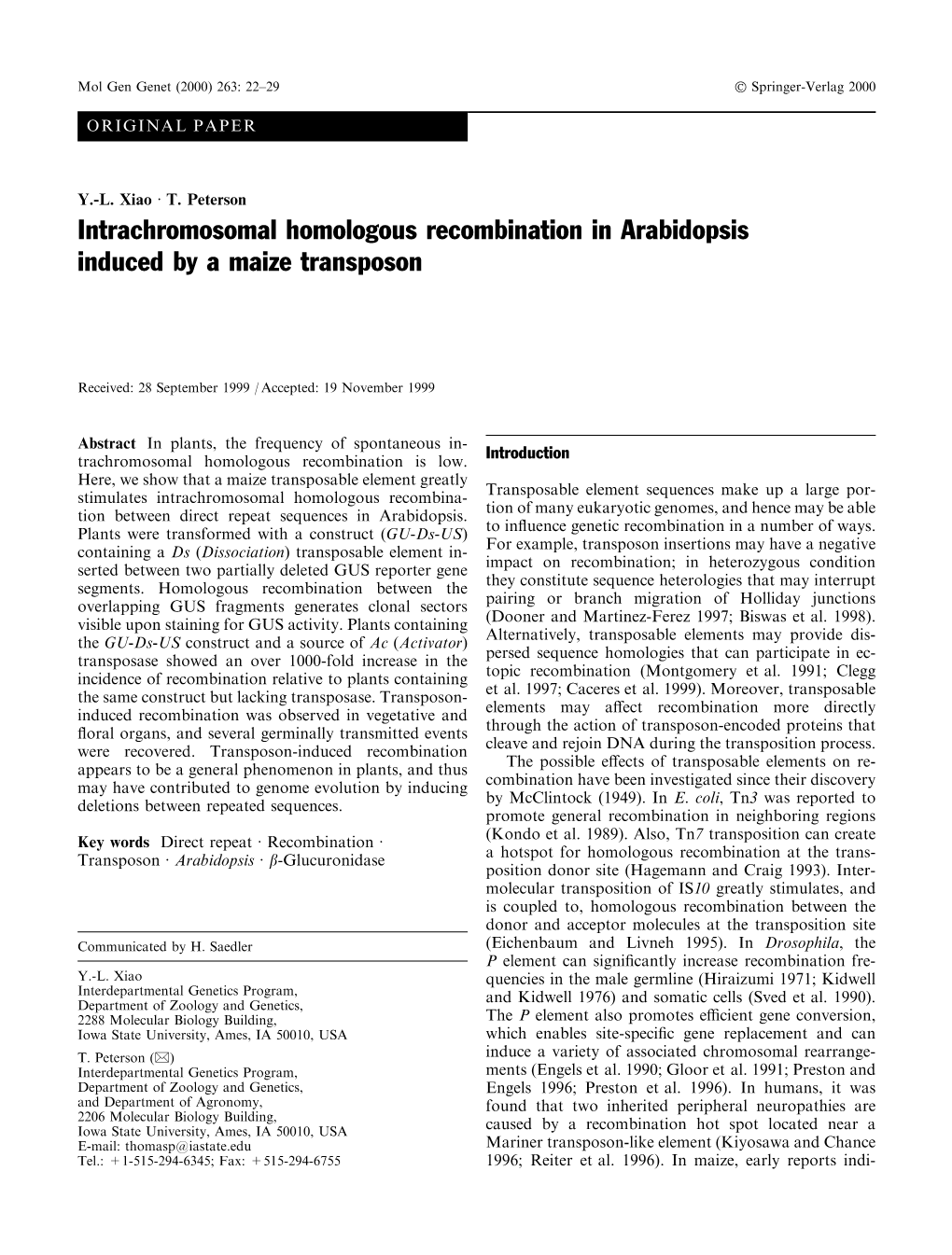 Intrachromosomal Homologous Recombination in Arabidopsis Induced by a Maize Transposon