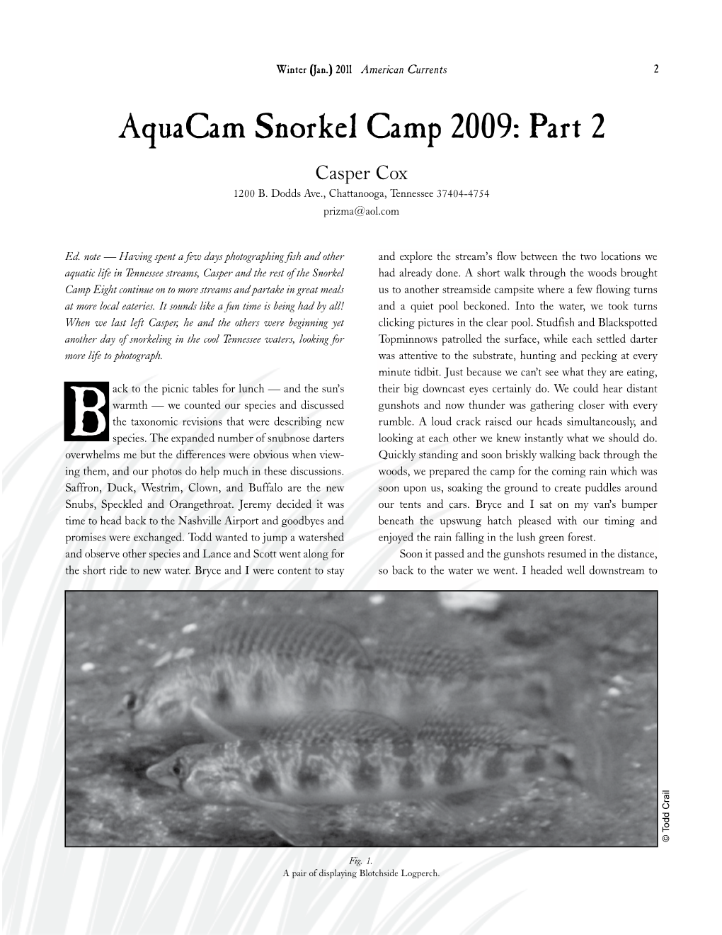 Aquacam Snorkel Camp 2009: Part 2 Casper Cox 1200 B