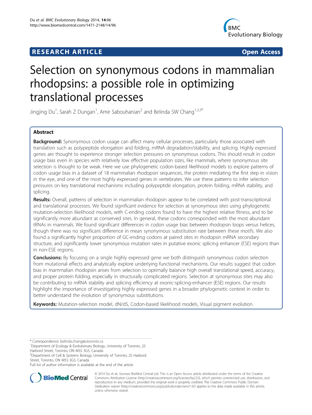 Selection on Synonymous Codons in Mammalian Rhodopsins: a Possible Role in Optimizing Translational Processes