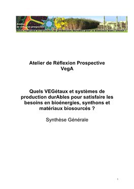 Atelier De Réflexion Prospective Vega Quels Vegétaux Et Systèmes De