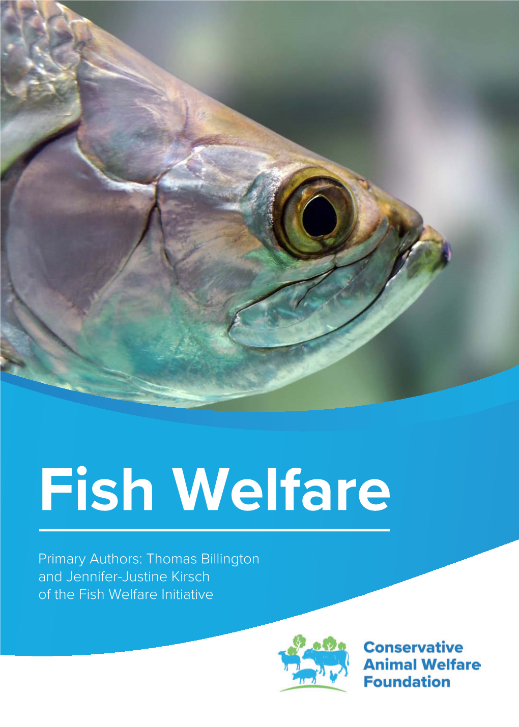 FNB42318 130 X A4 CAWF Fish Welfare Reports V7