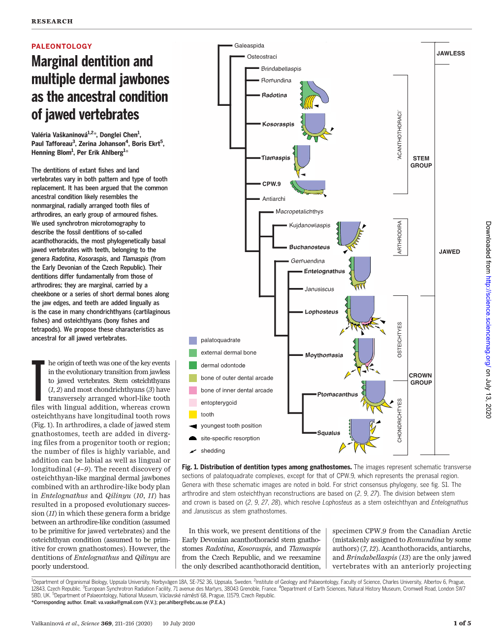 Science Journals — AAAS