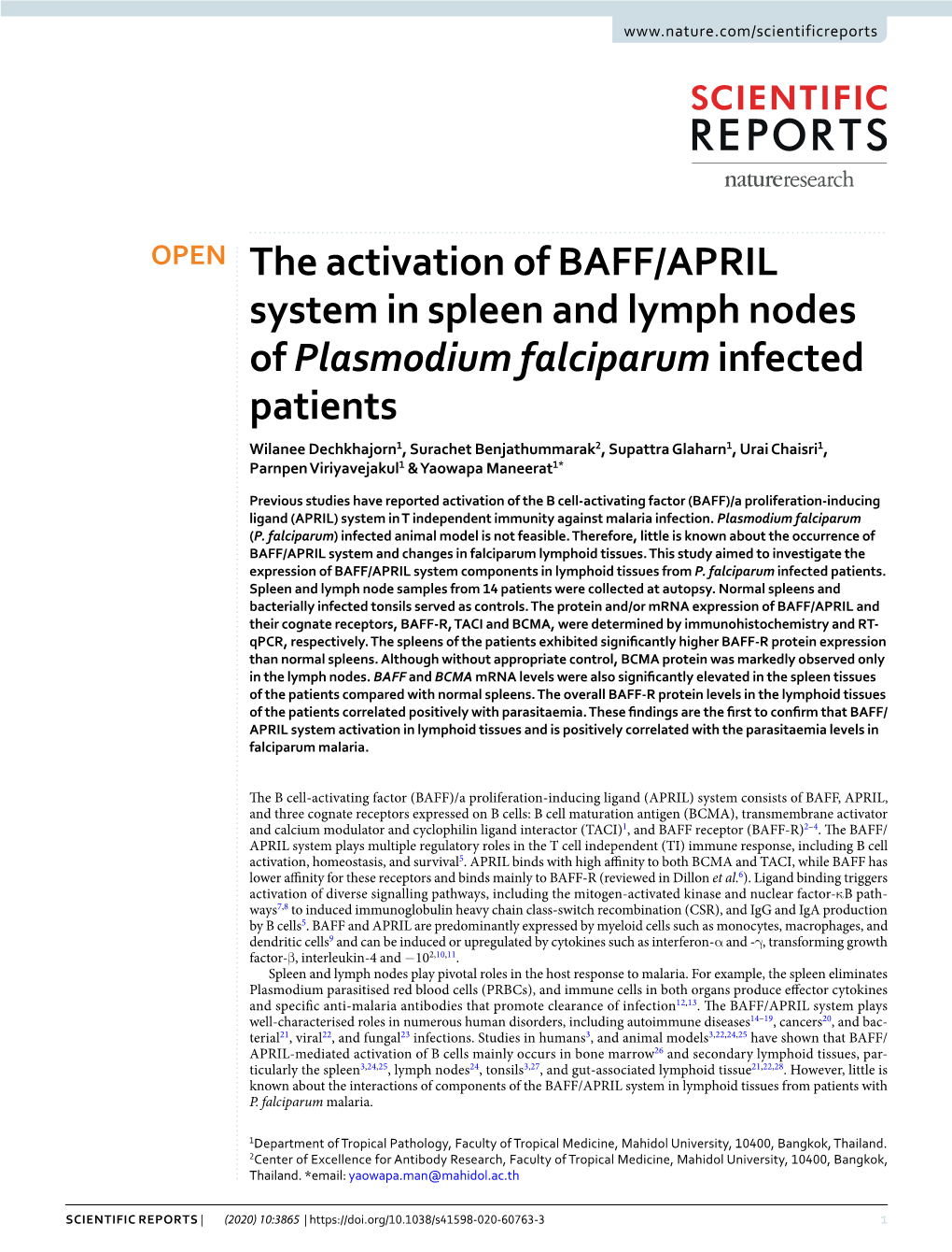 The Activation of BAFF/APRIL System in Spleen and Lymph Nodes