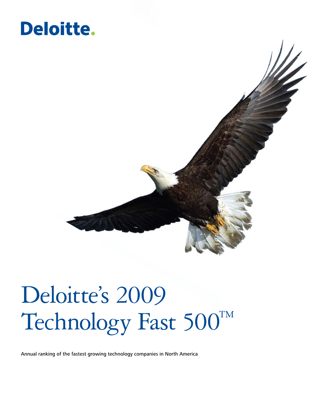 2009 Deloitte Technology Fast