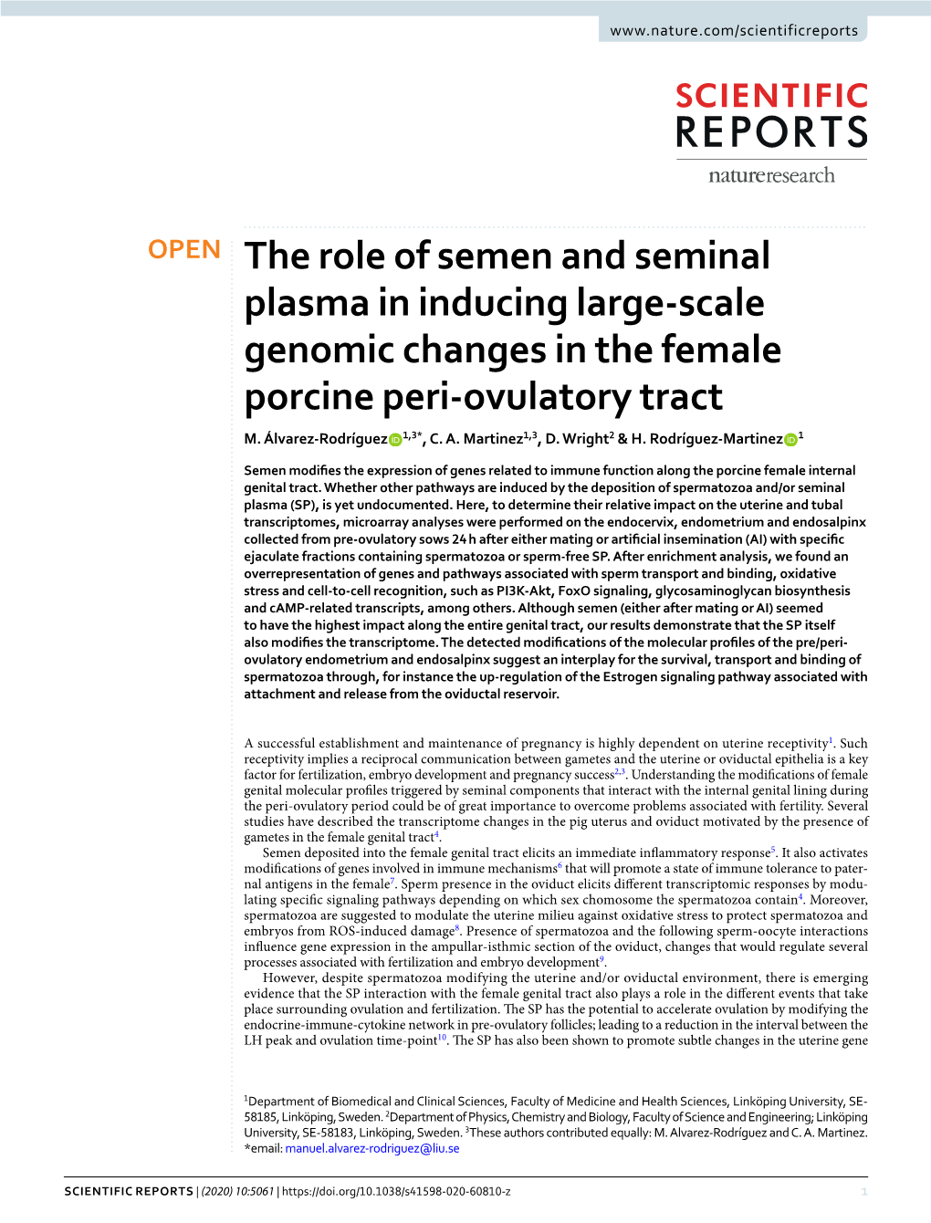 The Role of Semen and Seminal Plasma in Inducing Large-Scale Genomic Changes in the Female Porcine Peri-Ovulatory Tract M