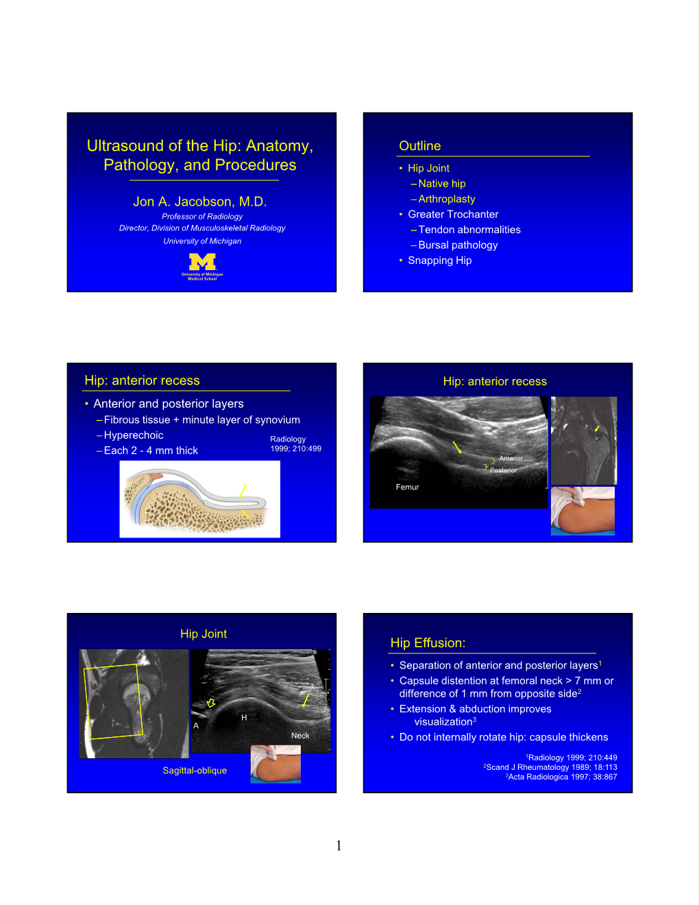 Ultrasound of the Hip: Anatomy, Pathology, and Procedures