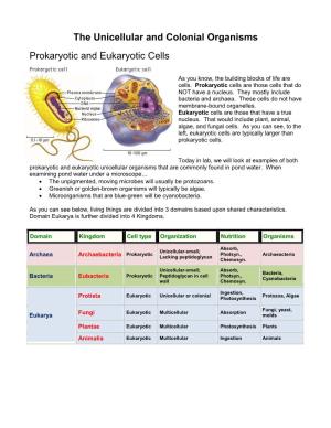 The Unicellular and Colonial Organisms Prokaryotic And