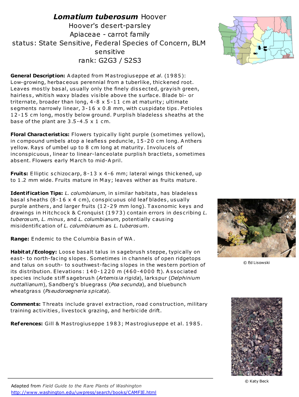 Lomatium Tuberosum Hoover Hoover's Desert-Parsley Apiaceae - Carrot Family Status: State Sensitive, Federal Species of Concern, BLM Sensitive Rank: G2G3 / S2S3