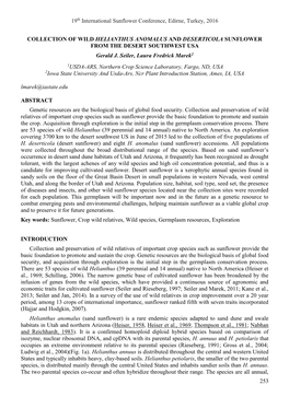 COLLECTION of WILD HELIANTHUS ANOMALUS and DESERTICOLA SUNFLOWER from the DESERT SOUTHWEST USA Gerald J