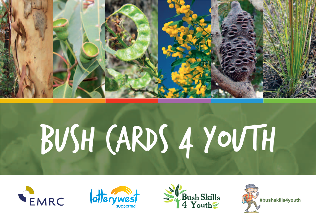 Bush Cards 4 Youth