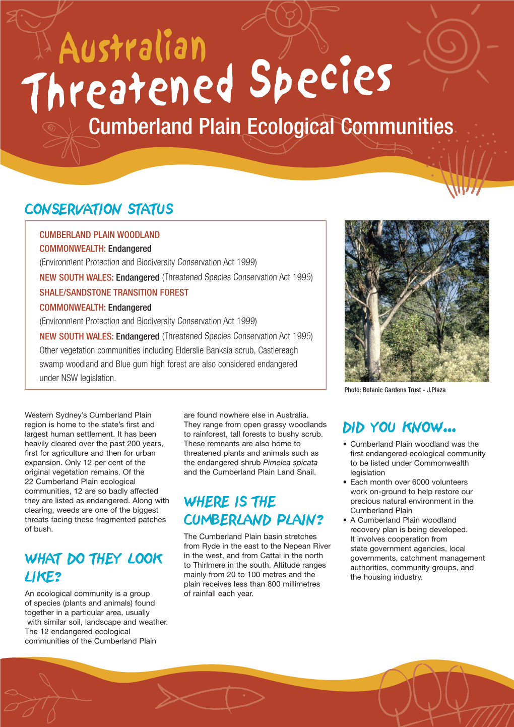 Cumberland Plain Ecological Communities