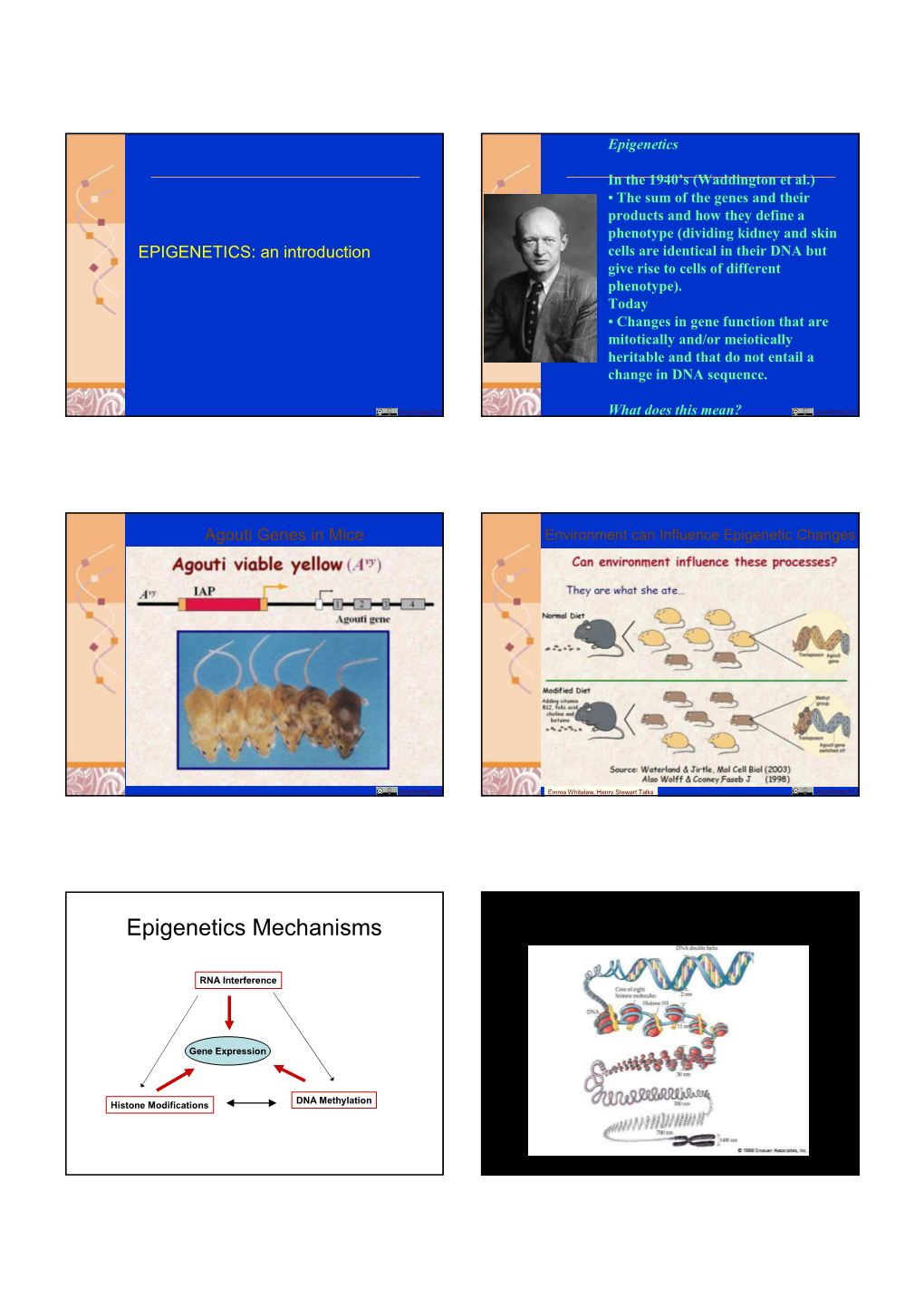 Epigenetics Mechanisms