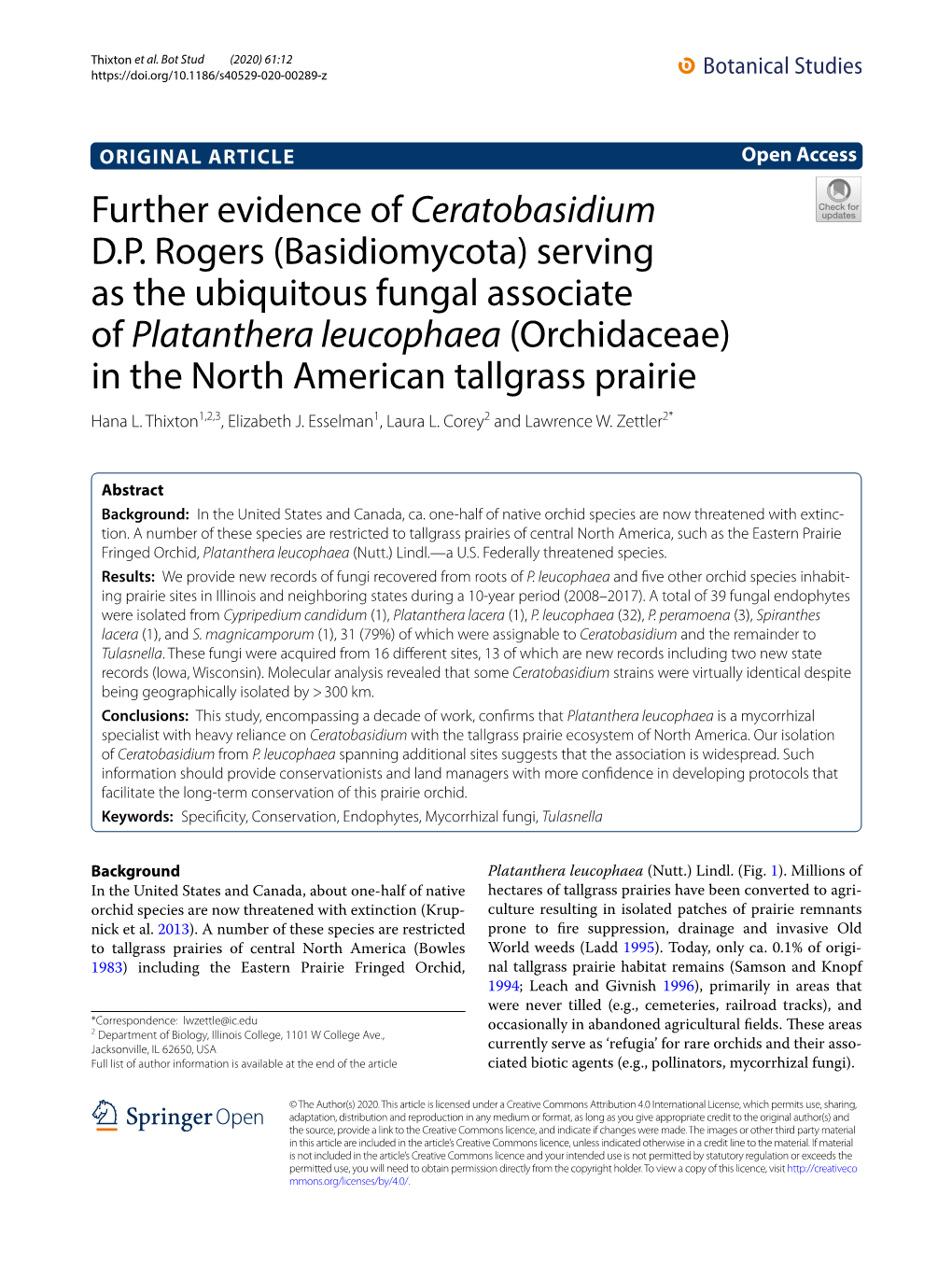 Further Evidence of Ceratobasidium D.P. Rogers (Basidiomycota