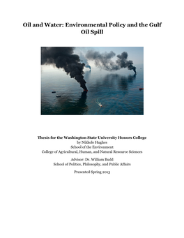 Oil and Water: Environmental Policy and the Gulf Oil Spill