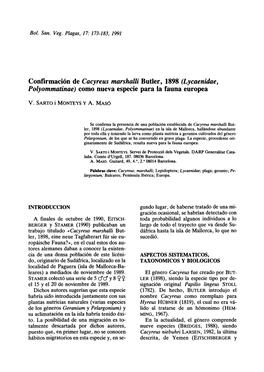 Confirmación De Cacyreus Marshalli Butler, 1898 (Lycaenidae, Polyommatinae) Como Nueva Especie Para La Fauna Europea