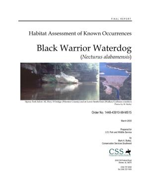 Black Warrior Waterdog (Necturus Alabamensis)