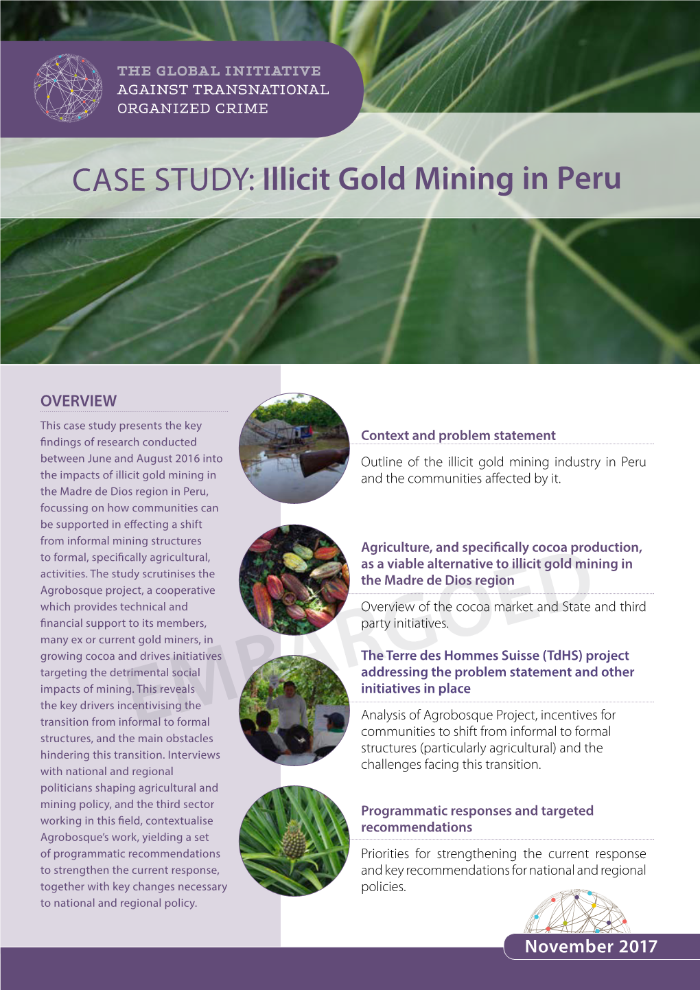 CASE STUDY: Illicit Gold Mining in Peru