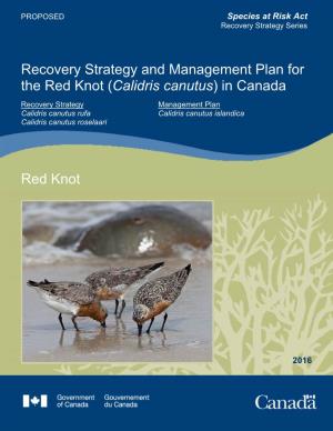 Red Knot (Calidris Canutus) in Canada Recovery Strategy Management Plan Calidris Canutus Rufa Calidris Canutus Islandica Calidris Canutus Roselaari