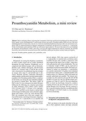 Proanthocyanidin Metabolism, a Mini Review