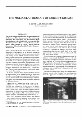 The Molecular Biology of Norrie's Disease