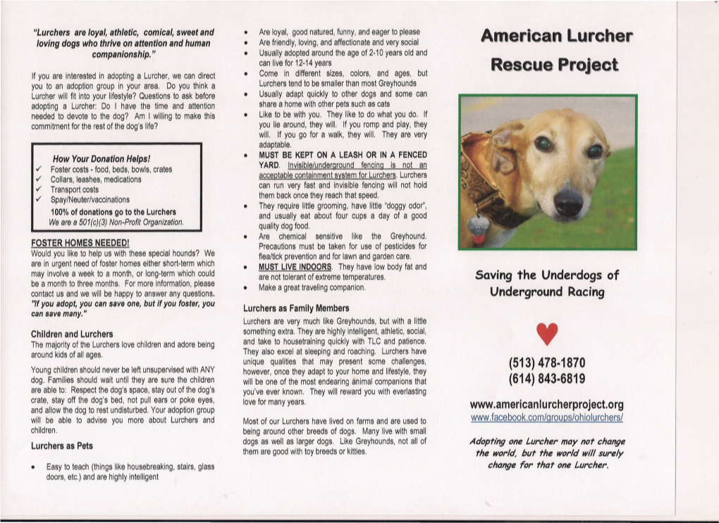 American Lurcher Rescue Project, Inc